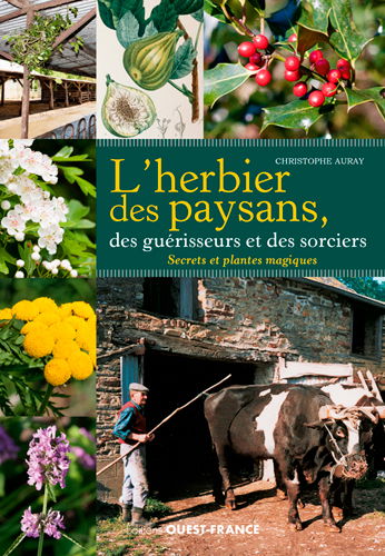 L'herbier des paysans, des guérisseurs et des sorciers : secrets et plantes magiques