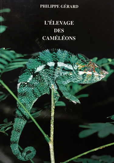 L'élevage des caméléons