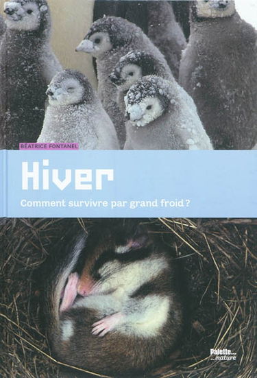 Hiver : comment survivre par grand froid ?