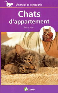 Chats d'appartement