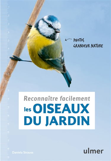 Reconnaître facilement les oiseaux du jardin : photos grandeur nature