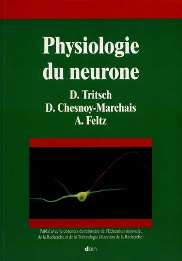 Physiologie du neurone