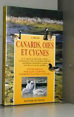 Canards, oies et cygnes