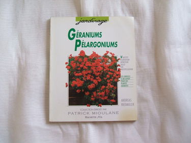 Géraniums et Pélargoniums: Pour qu'ils donnent le meilleur de leur floraison...
