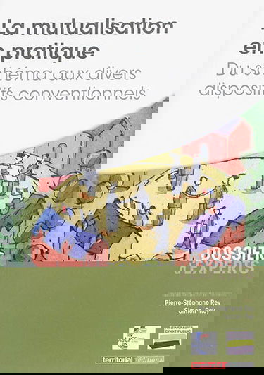 La mutualisation en pratique : du schéma aux divers dispositifs conventionnels