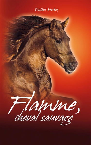 Flamme, cheval sauvage