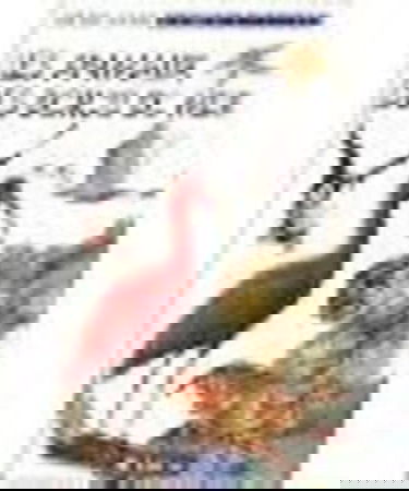 Les Animaux des bords de mer