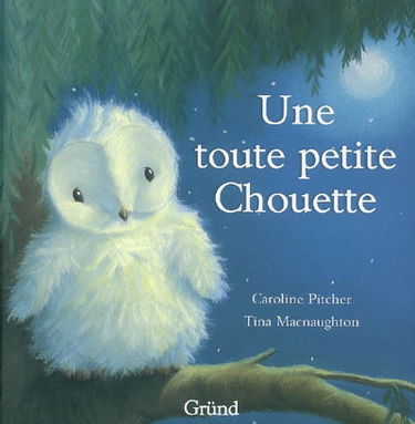 Une toute petite chouette