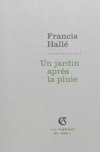 Un jardin après la pluie
