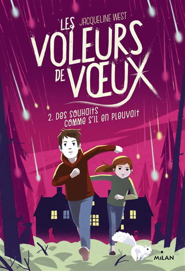 Les voleurs de voeux. Vol. 2. Des souhaits comme s'il en pleuvait