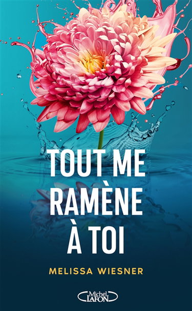 Couverture de Tout me ramène à toi
