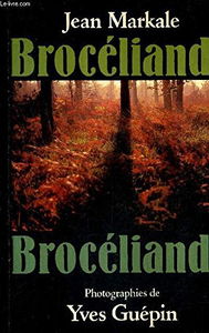 Brocéliande : la forêt des Chevaliers de la Table Ronde