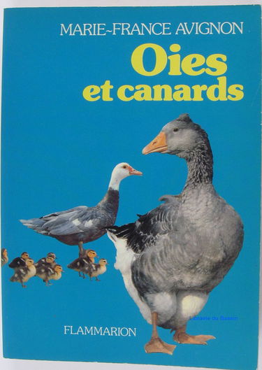 Oies et canards