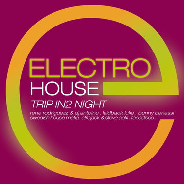 Couverture de Electro House-Trip in 2 Night [Import]