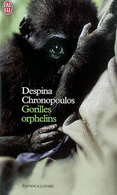 Gorilles orphelins