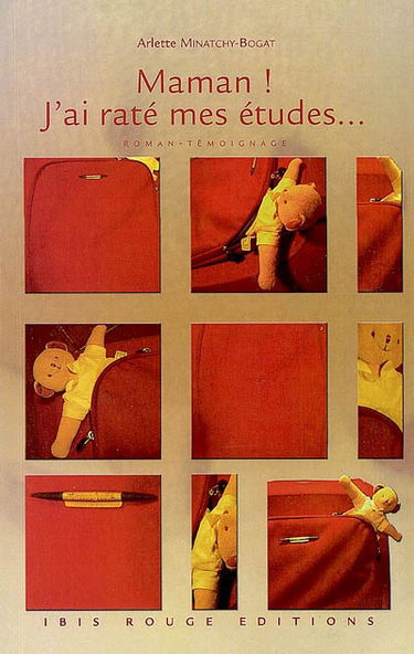Maman ! J'ai raté mes études... : roman-témoignage