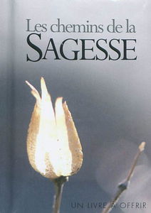 Les chemins de la sagesse : grand format