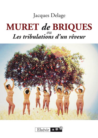 Muret de Briques Ou les Tribulations d un Reveur