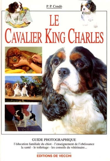 Le Cavalier King Charles