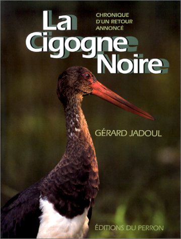 La cigogne noire