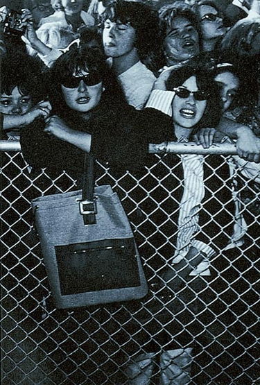 Dictionnaire du rock : blues, country, folk, pop, reggae, rock indépendant, soul