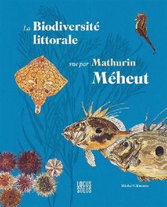 La biodiversité littorale vue par Mathurin Méheut