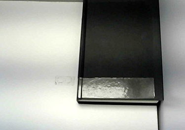 Couverture de The World in 2020