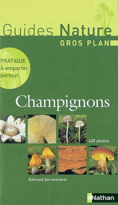 Gros plan sur les champignons