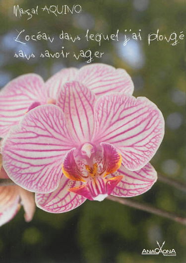 L'océan dans lequel j'ai plongé sans savoir nager