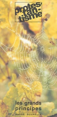 Protestantisme: Les grands principes