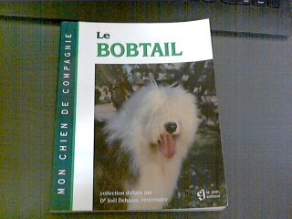 BOBTAIL
