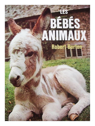 Les Bébés animaux