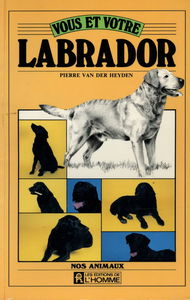 Vous Et Votre Labrador