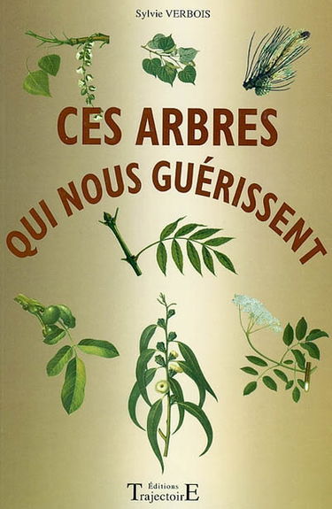 Ces arbres qui nous guérissent