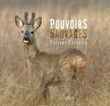 Couverture de Pouvoirs sauvages