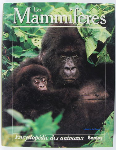 Mammifères