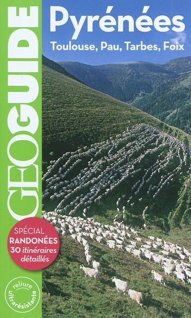 Pyrénées : Toulouse, Pau, Tarbes, Foix