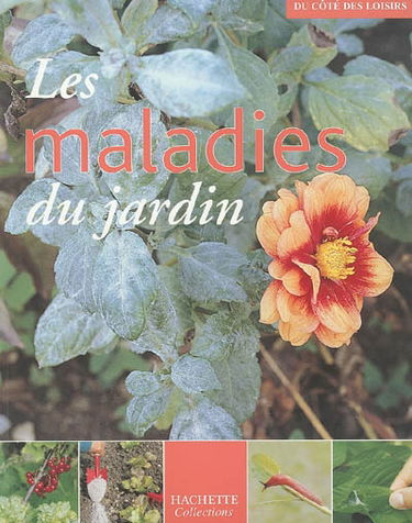 Les maladies du jardin