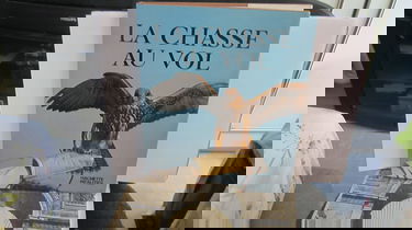 La Chasse au vol
