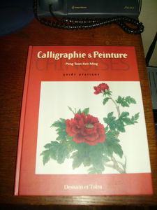 Calligraphies et peintures chinoises