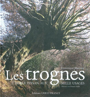 Les trognes : l'arbre paysan aux mille usages