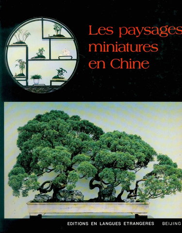 Couverture de Les paysages miniatures en Chine