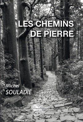 Couverture de Les chemins de pierre