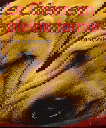 Le chien en pleine forme : soins et prévention