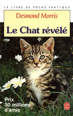 Le Chat révélé : guide essentiel du comportement de votre chat