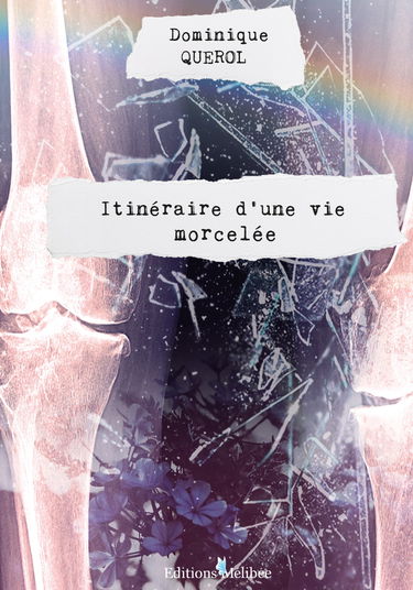 Itinéraire d'une vie morcelée