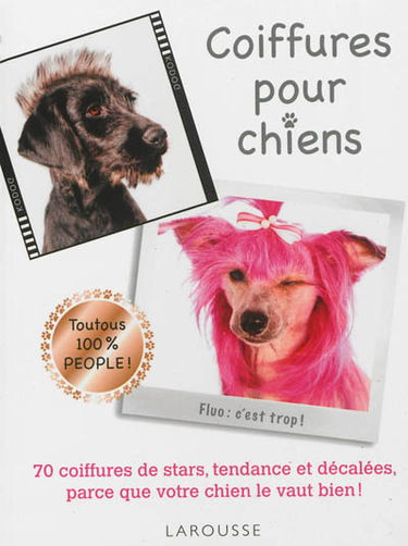Coiffures pour chiens : 70 coiffures de stars, tendance et décalées, parce que votre chien le vaut bien !