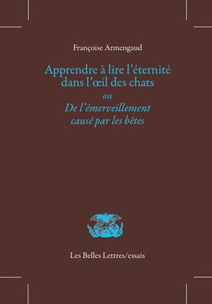 Apprendre à lire l'éternité dans l'oeil des chats ou De l'émerveillement causé par les bêtes