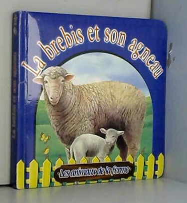 Brebis et agneaux cartonn