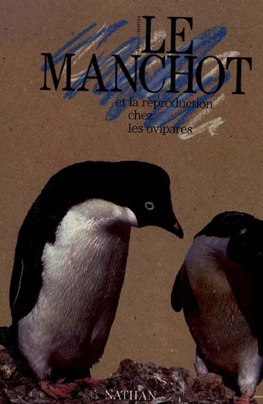 Le Manchot : et la reproduction chez les ovipares